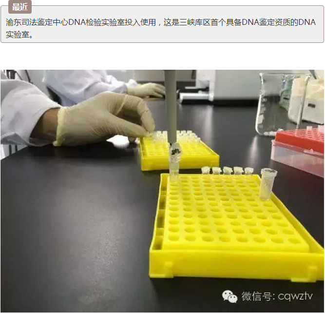 亲子鉴定不用去重庆了！库区DNA司法鉴定实验室在万州建成